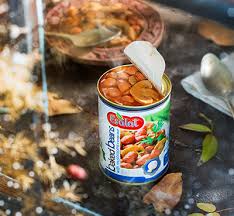شرایط ویژه کنسرو لوبیا چیتی با قارچ 420 گرمی خوش طعم + خرید عمده